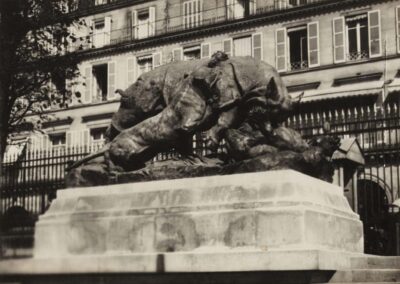 Sculpture d'un rhinocéros attaqué par un tigre par Auguste-Nicolas Cain, au jardin des Tuileries, 1er arrondissement, Paris (Titre factice) | Tuileries / 210. Rhinocéros attaqué par une lionne. - Cl. 790 (Titre inscrit (lettre))